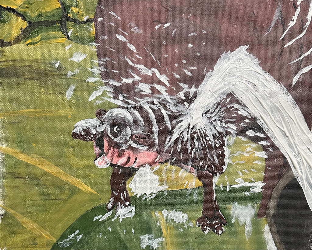 2026 Pygmy Hippo Calendar